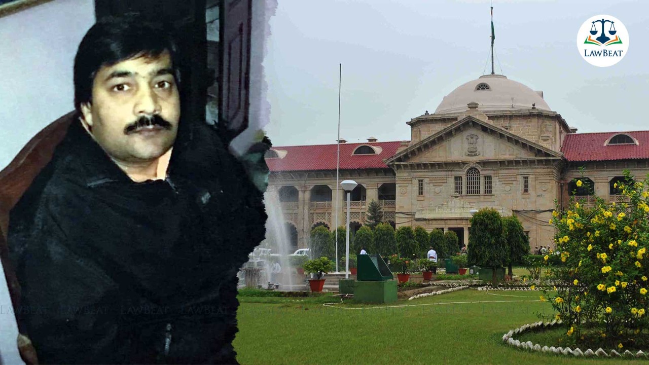 Tax evasion case: Allahabad High Court Grants Bail to UP Perfume Trader Caught With Rs 196 Crore In Cash